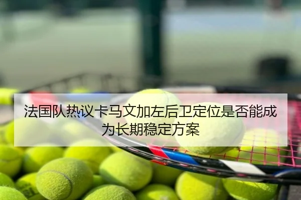 fa-guo-dui-re-yi-ka-ma-wen-jia-zuo-hou-wei-ding-wei-shi-fou-neng-cheng-wei-chang-qi-wen-ding-fang-an-3-331.jpg